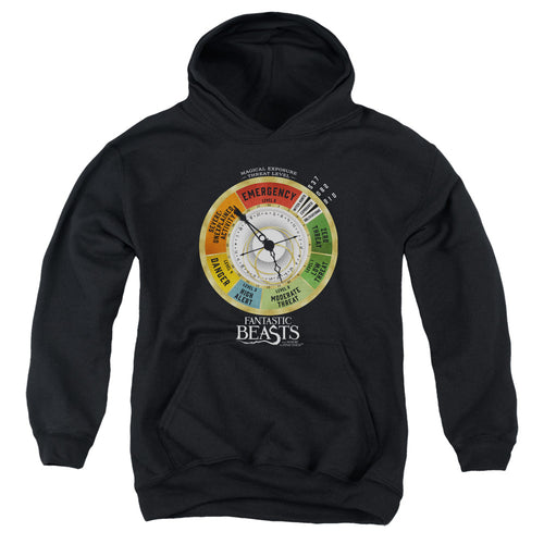 Fantastic Beasts Threat Gauge Youth Hoodie