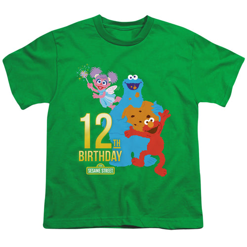 Sesame Street 12th Birthday Youth/Toddler T-Shirt