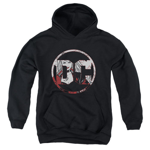 Batman Dc Logo Harley Youth Hoodie