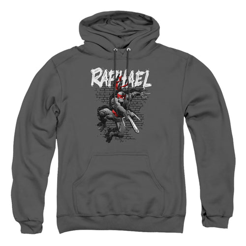 Teenage Mutant Ninja Turtles Raphael Pullover Hoodie