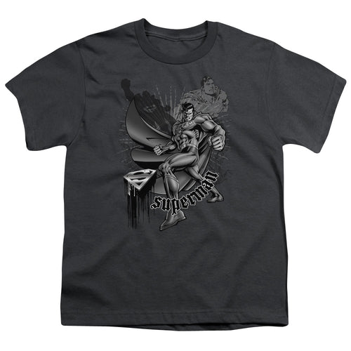 Superman Fight and Flight Youth/Toddler T-Shirt