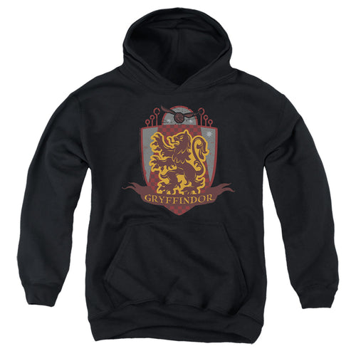 Harry Potter Gryffindor Quidditch Shield Logo Youth Hoodie
