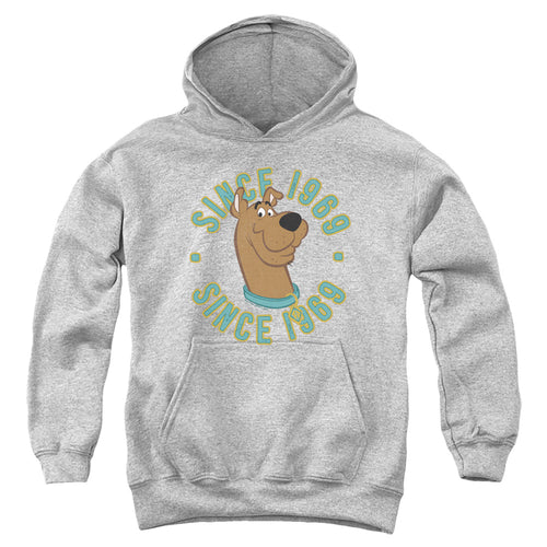 Scooby-Doo 1969 Youth Hoodie