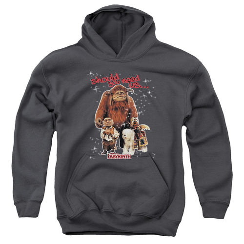 Labyrinth Should You Need Us Youth Hoodie