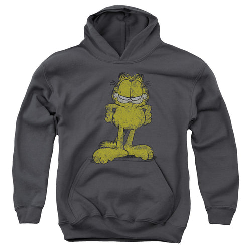 Garfield Big Ol Cat Youth Hoodie
