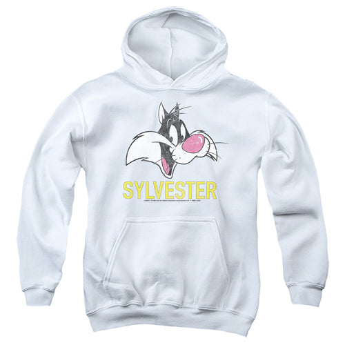 Looney Tunes Sylvester Youth Hoodie
