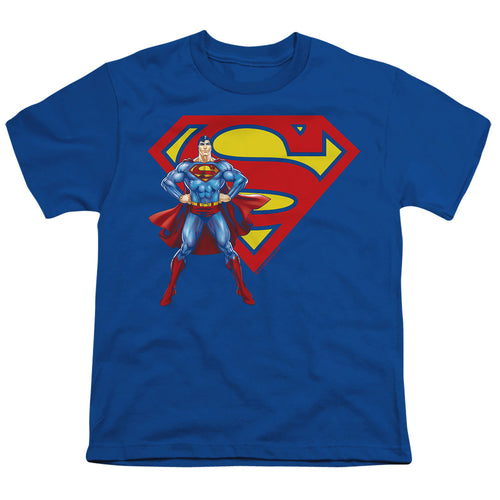 Superman & Logo Youth/Toddler T-Shirt