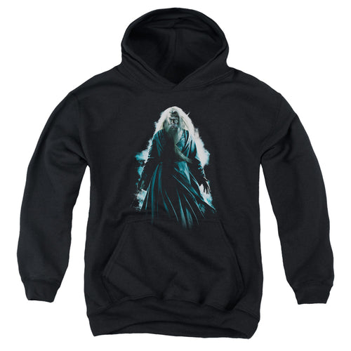 Harry Potter Dumbledore Burst Youth Hoodie