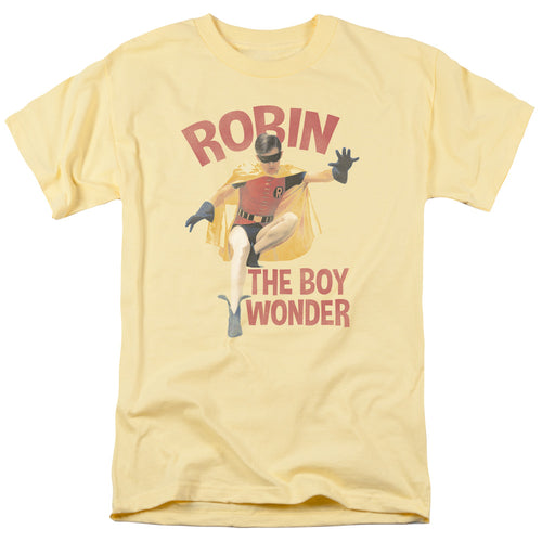 Batman Boy Wonder T-Shirt