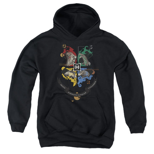 Harry Potter Hogwarts Magicial Mischief Level Up Crest Youth Hoodie