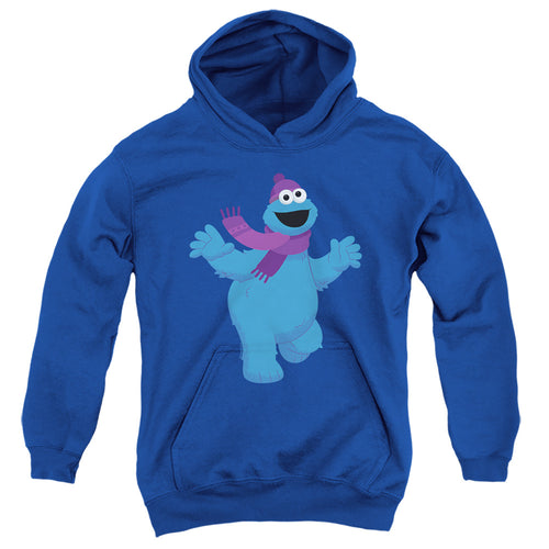 Sesame Street Furry Friends Forever! Cookie Monster Youth Hoodie