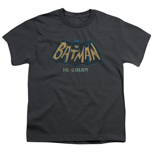 Batman In Color Youth/Toddler T-Shirt