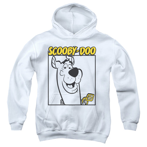 Scooby-Doo Square Youth Hoodie