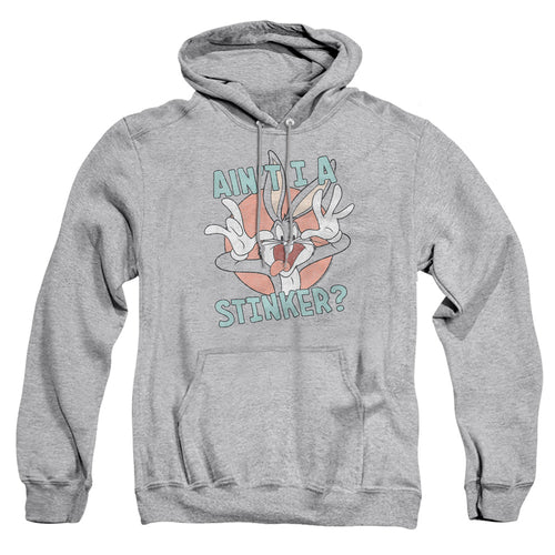 Looney Tunes Aint I A Stinker Pullover Hoodie
