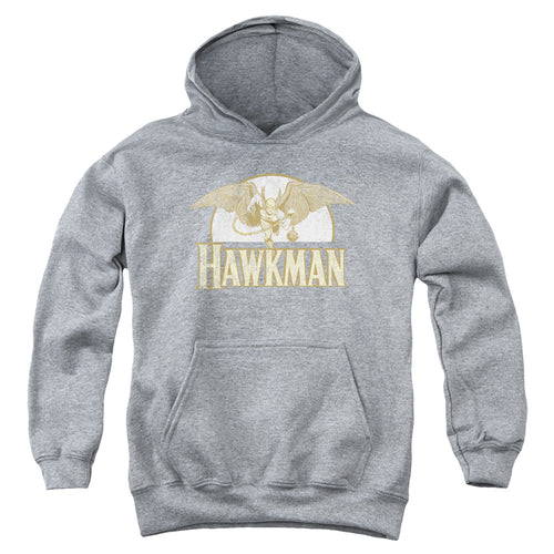 DC Comics Fly By Youth Hoodie