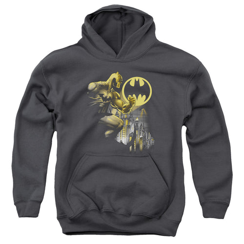 Batman Bat Signal Youth Hoodie