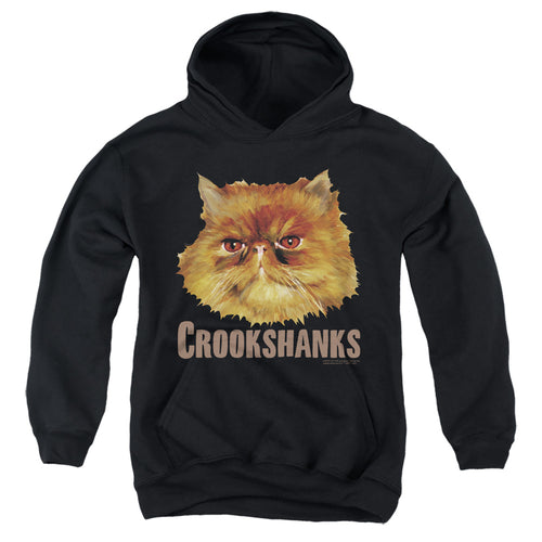 Harry Potter Crookshanks Color Youth Hoodie