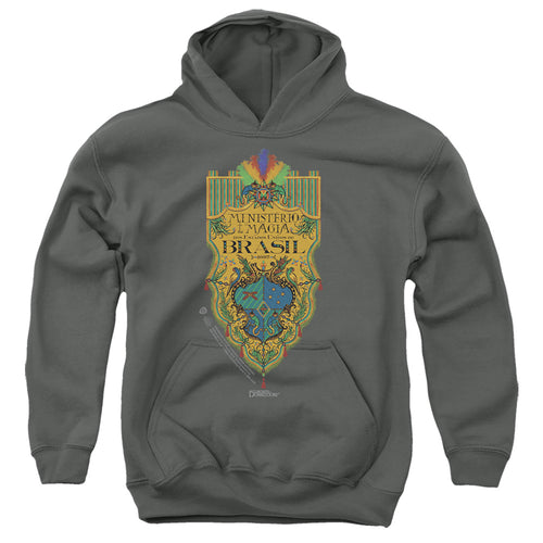 Fantastic Beasts Brazil Ministry Flag Youth Hoodie