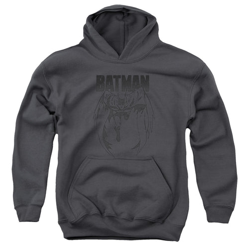 Batman Grey Noise Youth Hoodie
