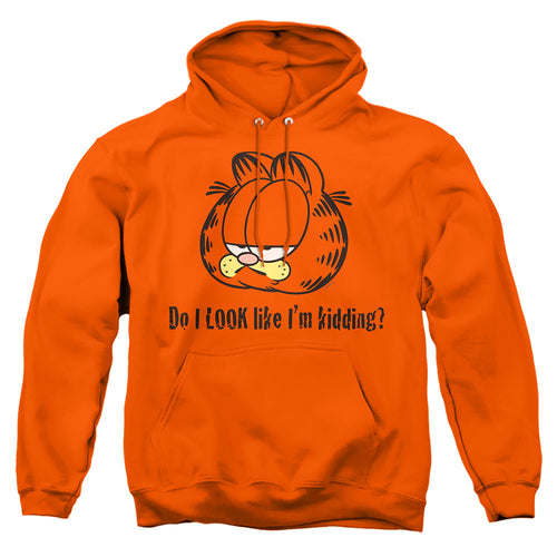 Garfield Do I Look Like Im Kidding Pullover Hoodie