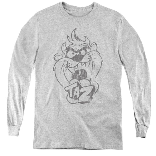 Looney Tunes Faded Taz Youth Long Sleeve T-Shirt