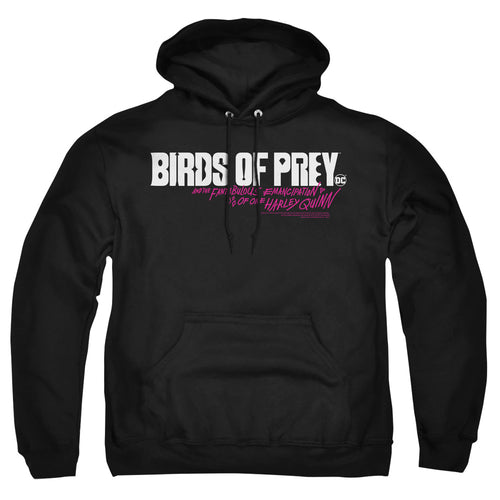 Birds of Prey Horizontal Logo Pullover Hoodie