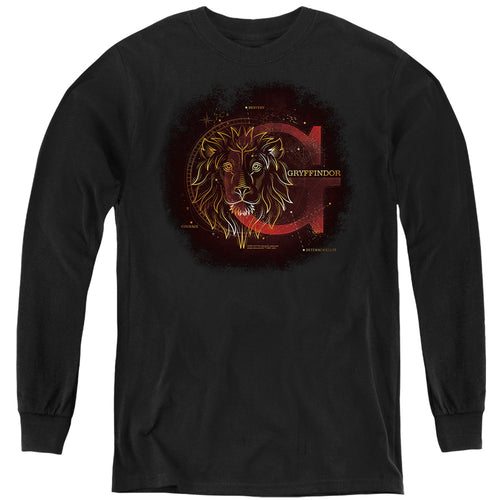 Harry Potter Celestial Nomad Gryffindor Youth Long Sleeve T-Shirt