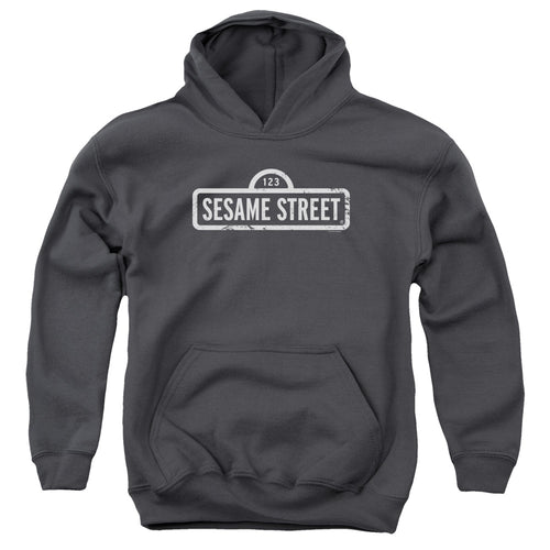 Sesame Street One Color Logo Youth Hoodie