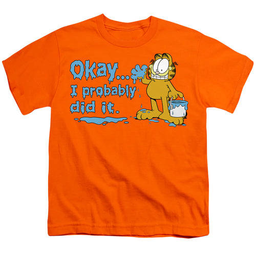 Garfield I Probably Did It Youth/Toddler T-Shirt