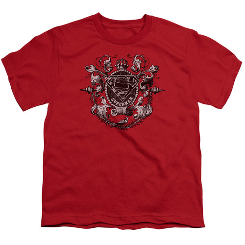 All Hail Superman Youth/Toddler T-Shirt