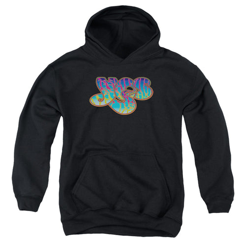 Yes Roger Dean Logo Youth Hoodie