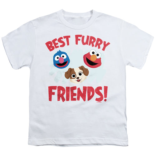 Sesame Street Best Furry Friends Youth/Toddler T-Shirt