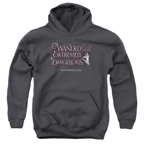Fantastic Beasts Wanded Youth Hoodie