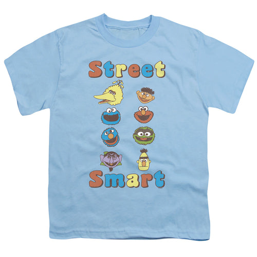 Sesame Street Street Smart Youth/Toddler T-Shirt