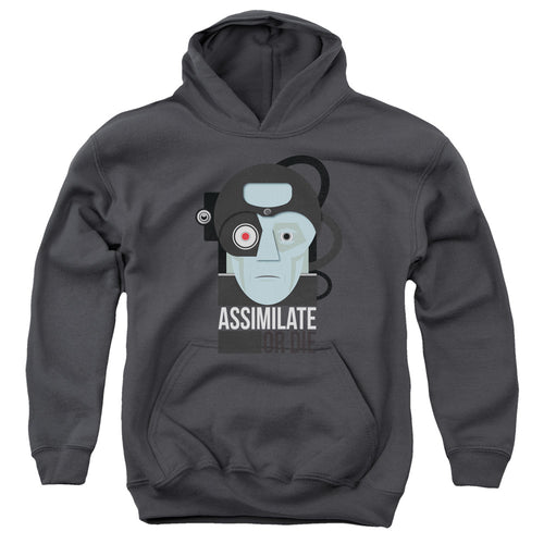 Star Trek Assimilate or Die Youth Hoodie