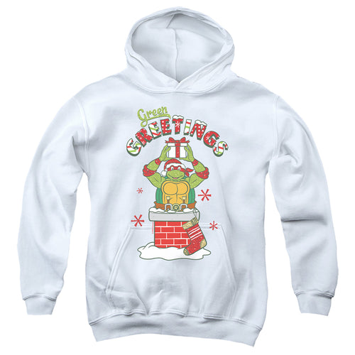 Teenage Mutant Ninja Turtles Green Greetings Christmas Scene Youth Hoodie