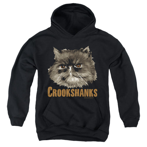 Harry Potter Crookshanks Youth Hoodie