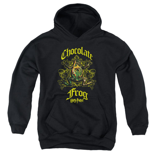 Harry Potter Chocolate Frog Youth Hoodie