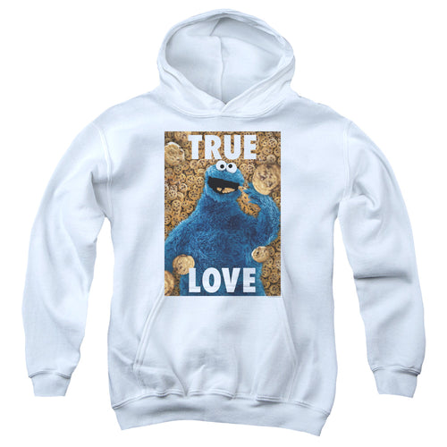 Sesame Street Beautiful Cookies Youth Hoodie