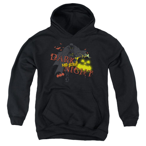 Batman Dark And Scary Night Youth Hoodie