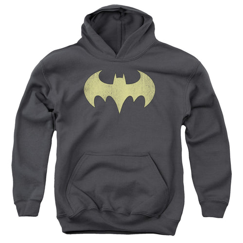 DC Comics Batgirl Logo Distressed Youth Hoodie
