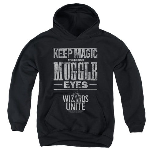 Harry Potter: Wizards Unite Hidden Magic Youth Hoodie