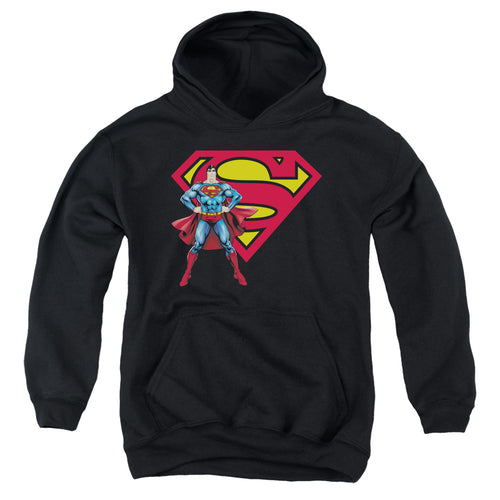Superman & Logo Youth Hoodie