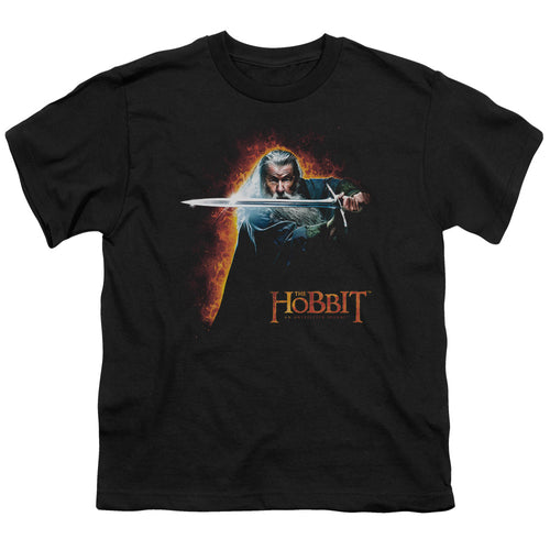 The Hobbit Secret Fire Youth/Toddler T-Shirt