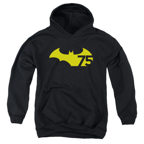 Batman 75 Logo 2 Youth Hoodie