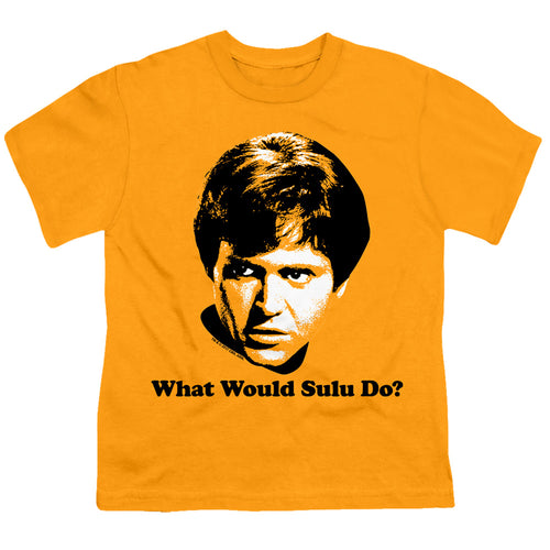 Star Trek What Would Sulu Do Youth/Toddler T-Shirt