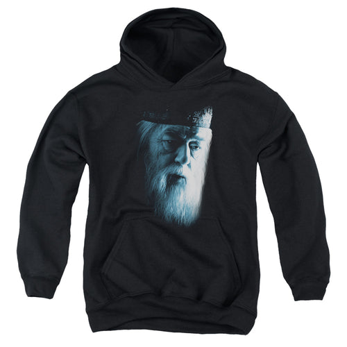 Harry Potter Dumbledore Face Youth Hoodie