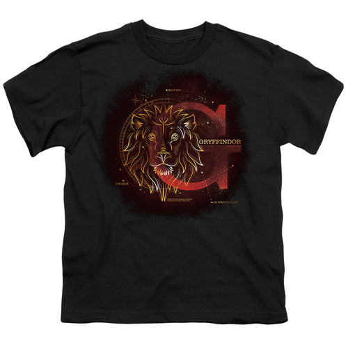 Harry Potter Celestial Nomad Gryffindor Youth/Toddler T-Shirt