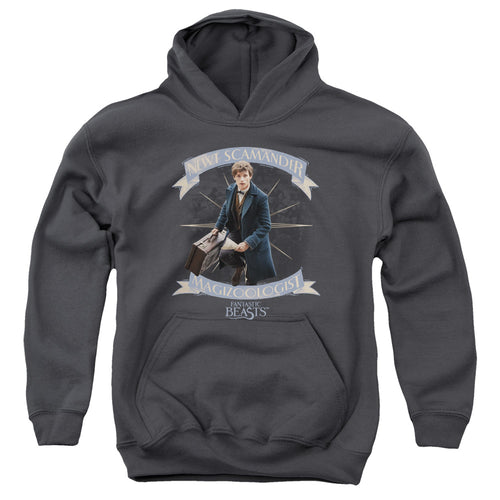 Fantastic Beasts Newt Scamander Youth Hoodie