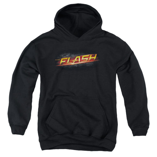 The Flash Logo Youth Hoodie